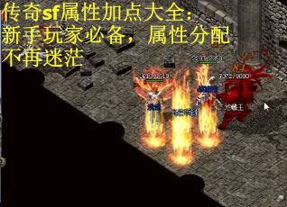 传奇sf属性加点大全：新手玩家必备，属性分配不再迷茫