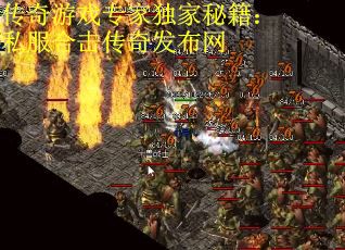 传奇游戏专家独家秘籍：私服合击传奇发布网