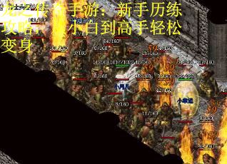 龙之传奇手游：新手历练攻略，从小白到高手轻松变身