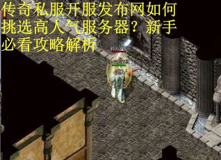 传奇私服开服发布网如何挑选高人气服务器？新手必看攻略解析