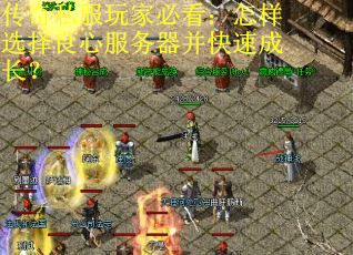 传奇私服玩家必看:怎样选择良心服务器并快速成长? 传奇私服玩家必看:怎样选择良心服务器并快速成长?