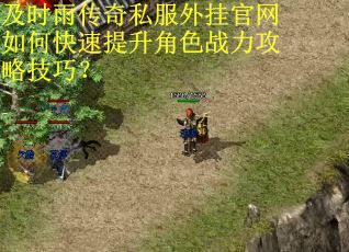 及时雨传奇私服外挂官网如何快速提升角色战力攻略技巧？