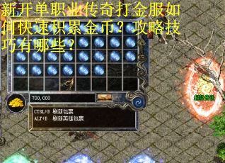 新开单职业传奇打金服如何快速积累金币？攻略技巧有哪些？