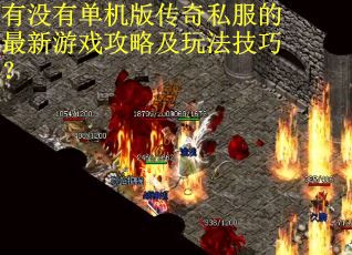 有没有单机版传奇私服的最新游戏攻略及玩法技巧？