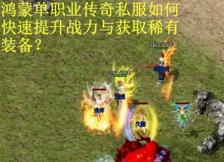 鸿蒙单职业传奇私服如何快速提升战力与获取稀有装备？