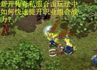 新开传奇私服合击玩法中如何快速提升职业组合战力? 新开传奇私服合击玩法中如何快速提升职业组合战力?