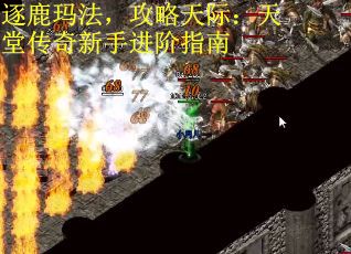 逐鹿玛法，攻略天际：天堂传奇新手进阶指南