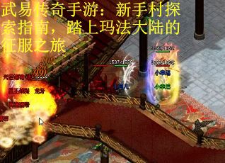 武易传奇手游：新手村探索指南，踏上玛法大陆的征服之旅