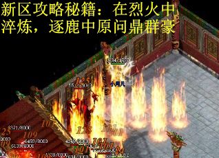 新区攻略秘籍：在烈火中淬炼，逐鹿中原问鼎群豪