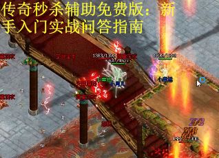 传奇秒杀辅助免费版：新手入门实战问答指南