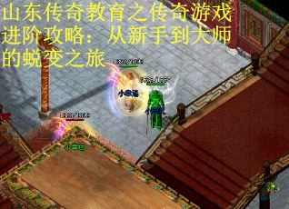 山东传奇教育之传奇游戏进阶攻略：从新手到大师的蜕变之旅