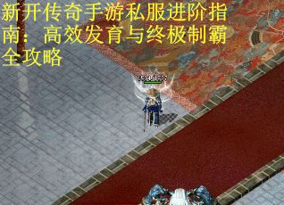 新开传奇手游私服进阶指南：高效发育与终极制霸全攻略