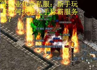 单职业传奇私服：新手玩家如何快速上手称霸服务器？