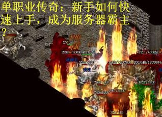 单职业传奇：新手如何快速上手，成为服务器霸主？