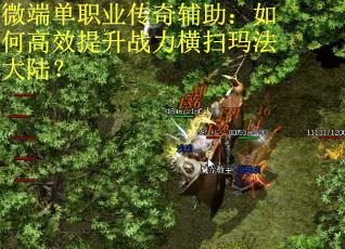微端单职业传奇辅助：如何高效提升战力横扫玛法大陆？