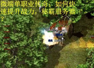 微端单职业传奇：如何快速提升战力，称霸服务器？