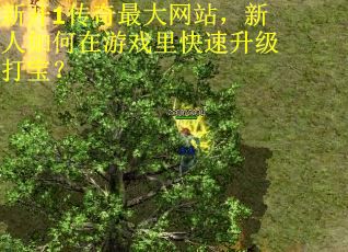 新开1传奇最大网站，新人如何在游戏里快速升级打宝？