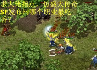 求大佬指点，仿盛大传奇SF发布网哪个职业最吃香？