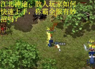 江北神途：散人玩家如何快速上手，称霸全服有妙招吗？