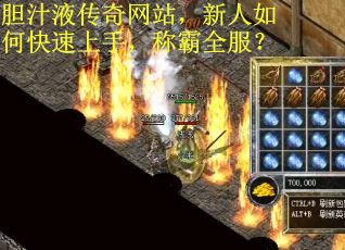 胆汁液传奇网站，新人如何快速上手，称霸全服？
