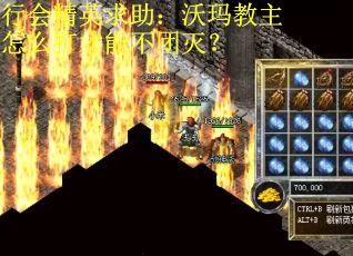 行会精英求助：沃玛教主怎么打才能不团灭？