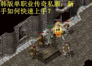 韩版单职业传奇私服：新手如何快速上手？