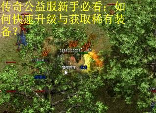 传奇公益服新手必看：如何快速升级与获取稀有装备？