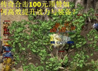 传奇合击100元顶赞如何高效提升战力与装备？