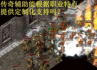 传奇辅助能根据职业特点提供定制化支持吗？