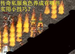 传奇私服角色养成有哪些实用小技巧？