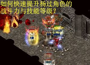 如何快速提升杨过角色的战斗力与技能等级？