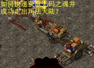 如何快速获取无码之魂并成功走出玛法大陆？