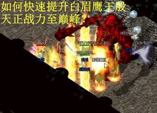 如何快速提升白眉鹰王殷天正战力至巅峰？
