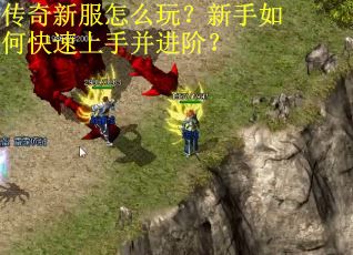 传奇新服怎么玩？新手如何快速上手并进阶？
