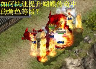 如何快速提升蝴蝶传奇中的角色等级？
